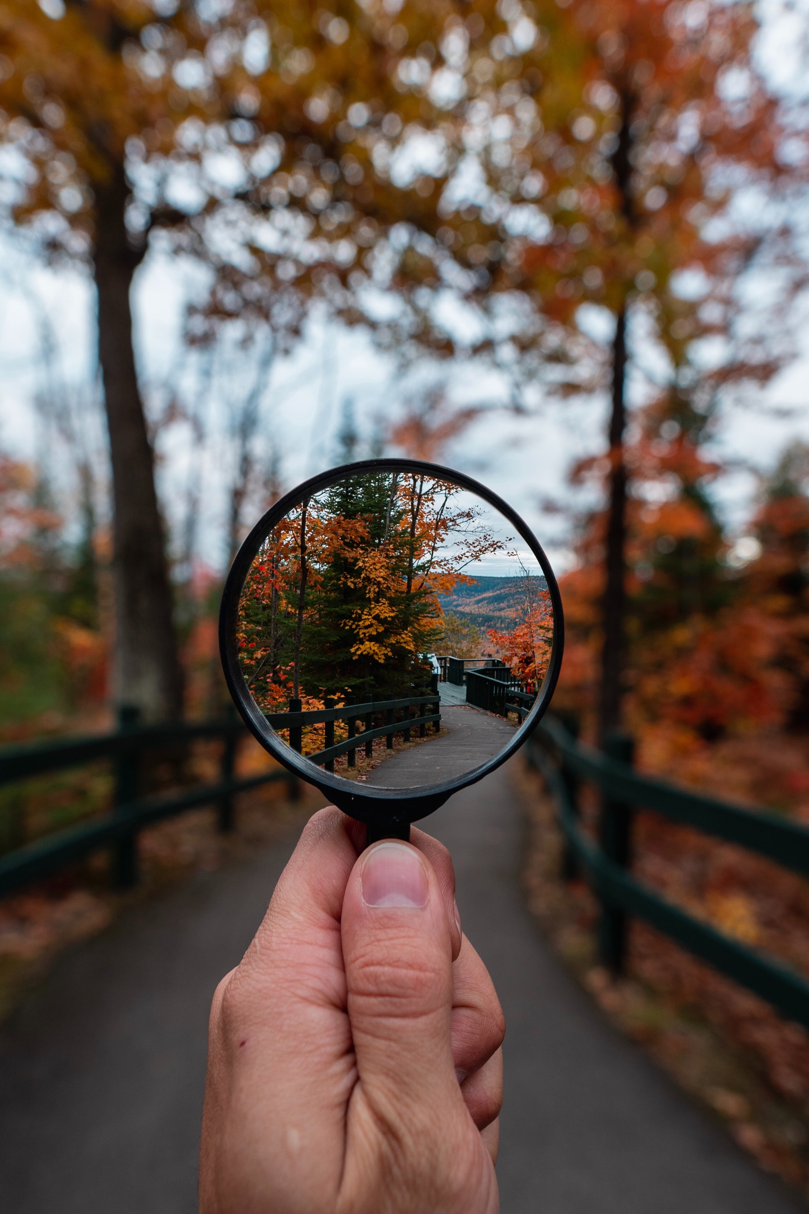 Photos de [Steven Wright](https://unsplash.com/@stevenwright) sur [Unsplash](https://unsplash.com)